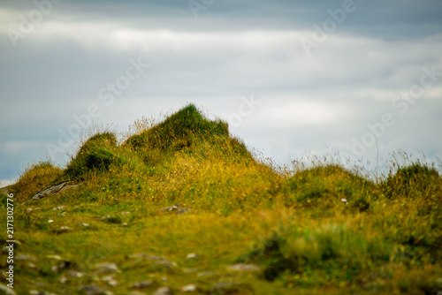 Obraz na płótnie Close up of grassy mossy mounds and hummocks on coastal meadow under cloudy over