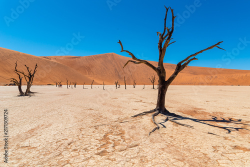 Foto Dead Valley Namibia
