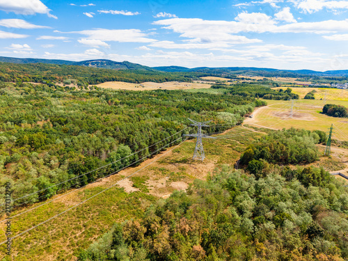Canvastavla High voltage power pylon in a green forest landscape