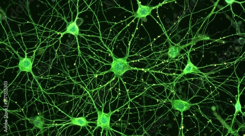 Neuron network glowing green under microscope view