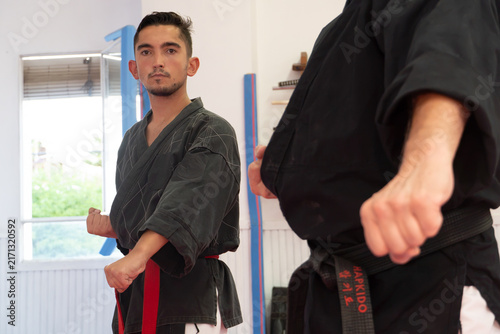 Obraz na płótnie Young man in a dobok and red belt practicing hapkido in a dojang, focusing on se