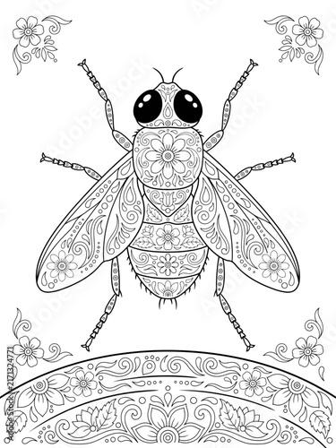 Ornamental housefly on weathered wood adult coloring page with floral pattern line art vector illustration