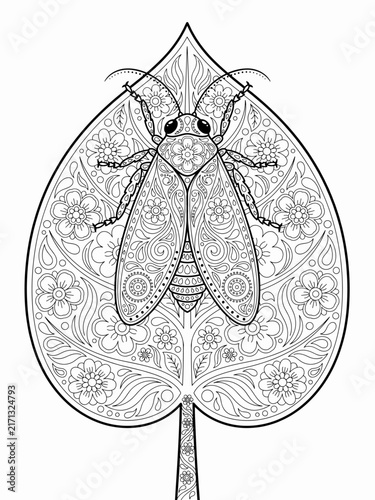 Ornamental planthopper insect on a leaf adult coloring page with floral pattern line art vector illustration