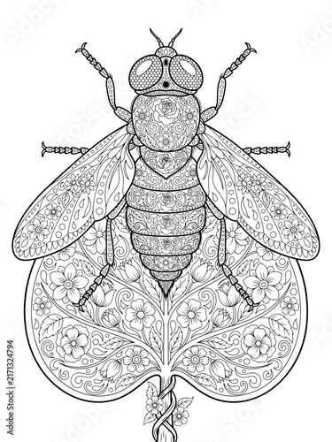 Ornamental horsefly insect on a leaf adult coloring page with floral pattern line art vector illustration