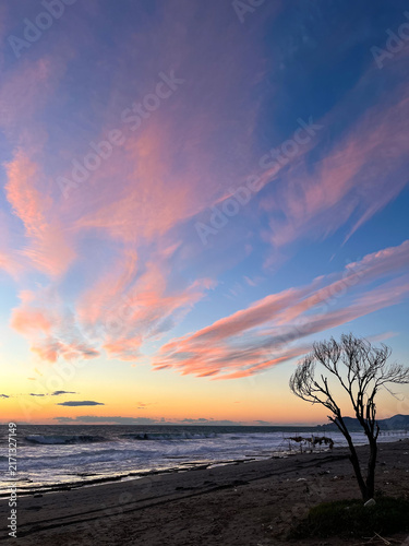 Vibrant pink and purple sunset clouds over sandy beach with lone tree silhouette