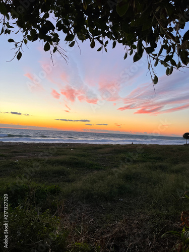 Peaceful sunset over ocean framed by tree branches with pink sky