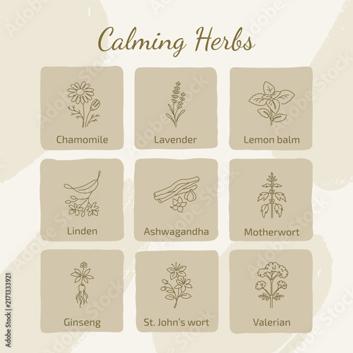 Calming Herbs Collection Line Art Illustrations