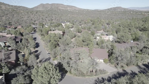 Aerial view of a tree-lined suburban neighborhood