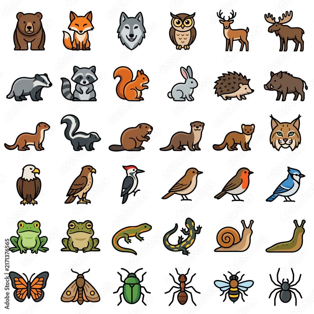 Fototapeta premium Cute Forest Animal Illustrations Isolated Transparent Background