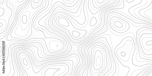 Topographic map background with gray contour lines. Minimalist abstract vector pattern. Geographic terrain elevation texture for web design.