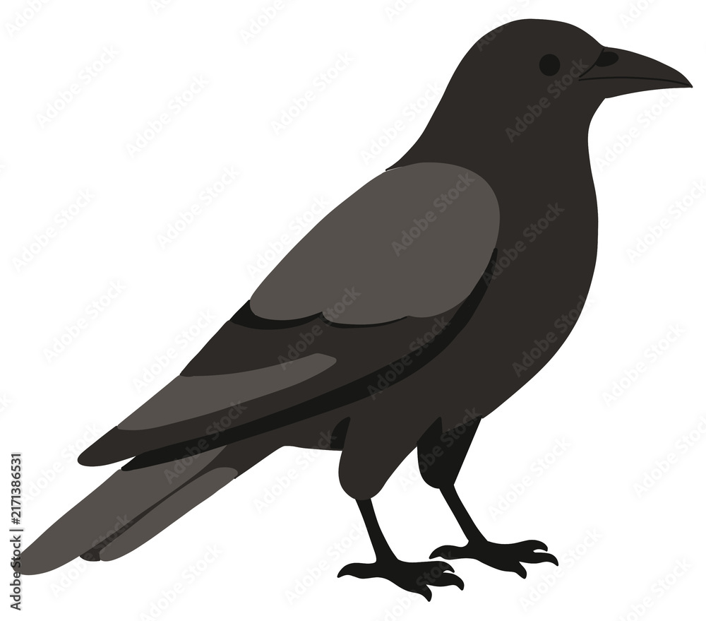 Fototapeta premium Halloween Crow Illustration