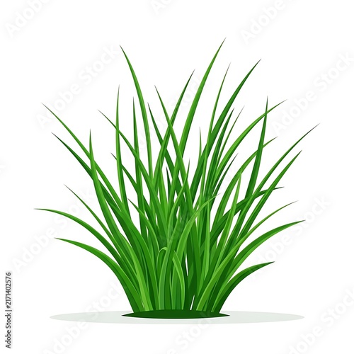 Green Grass Isolated White Background Vector