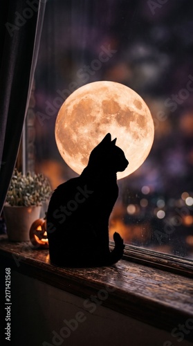 Silhouette of a cat sitting on a windowsill with a full moon in the background at night