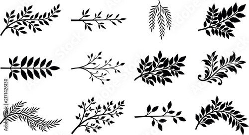 Black tree branch silhouette leaf and botanical twig icon set with organic nature elements for wedding invitation border decoration vector.