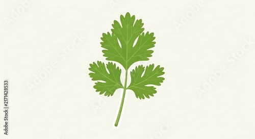 Vibrant green cilantro leaf with stem on a clean white background