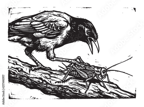 Foto Vintage fable illustration of crow and grasshopper on wood branch