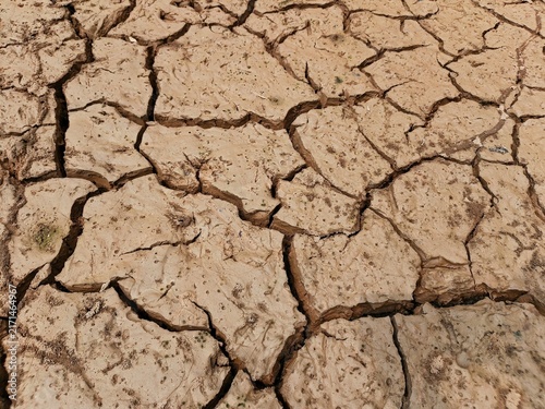 фотографія close up of cracked ground surface due to prolonged hot weather