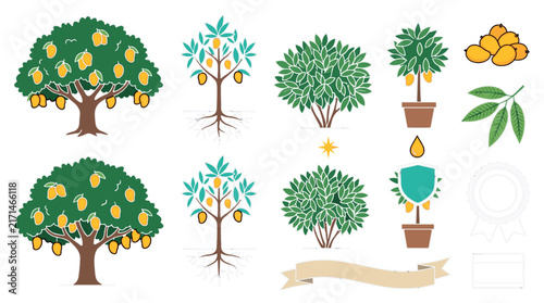 Organic Lemon and Citrus Tree Growth Stages Vector Asset Sheet Featuring Fruiting Orchard Trees, Potted Saplings, Fresh Leaves, Nectar Drops, and Ribbon Banners