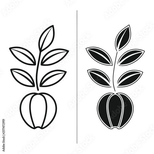 Minimalist black and white floral with leaves and petals