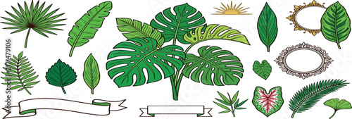 Flat tropical leaves vector sticker icon set featuring cartoon monstera palm fronds banana leaf caladium and vintage frame labels