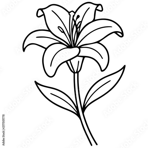 Black and white line art illustration of a blooming lily flower with stem and leaves botanical monochrome