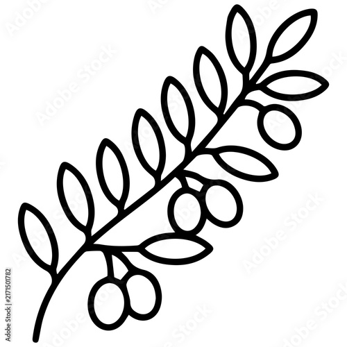Simple line art drawing of an olive branch with leaves and olives botanical monochrome isolated ingredient
