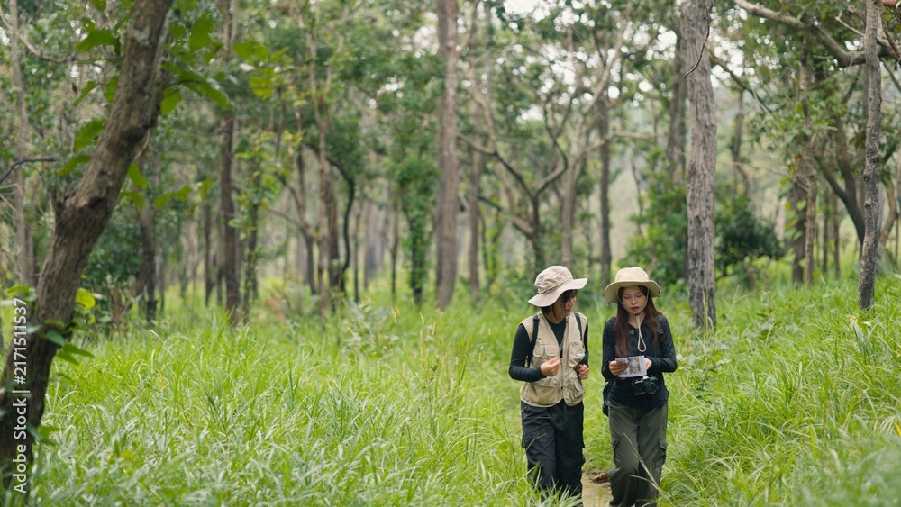 Fototapeta premium Asian women hikers exploring forest trail, checking wooden signpost map and enjoying nature. Outdoor trekking adventure, travel freedom, eco tourism and active wellness lifestyle concept.