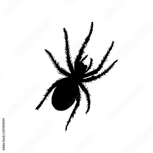Modern flat design spooky hairy spider silhouette symbol complete with fangs and textured legs tailored for seamless integration into creative Halloween user interfaces
