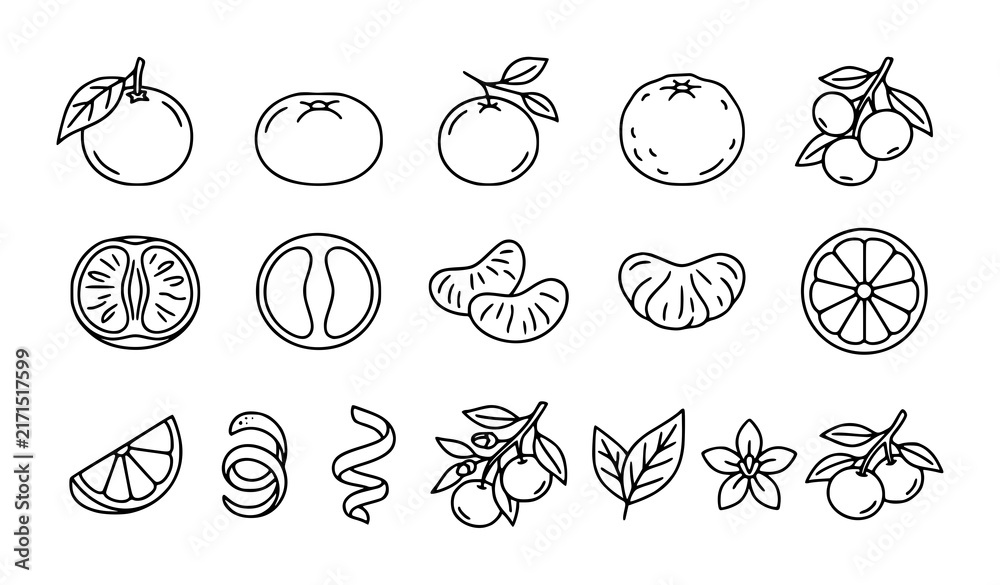 Obraz premium Hand Drawn Citrus Fruit Line Icon Set, Orange, Tangerine and Lemon Slice with Peel and Leaf Vector Illustration