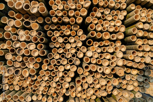 Abstract overhead view of bundled bamboo poles with hollow circular ends