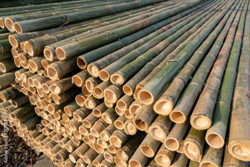 Stacked Bamboo Poles with Natural Hollow Ends and Rustic Green Texture