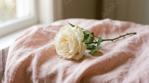 Single White Rose Resting on Soft Pink Fabric Background.