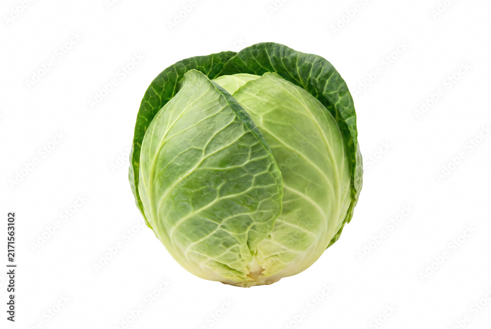 Fototapeta premium Fresh Whole Green Cabbage with Textured Leaves