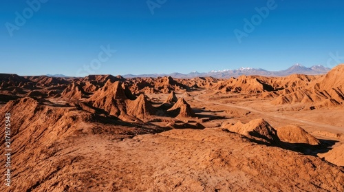 Stunning View of Valley of Fire State Park Red Sandstone Formations.