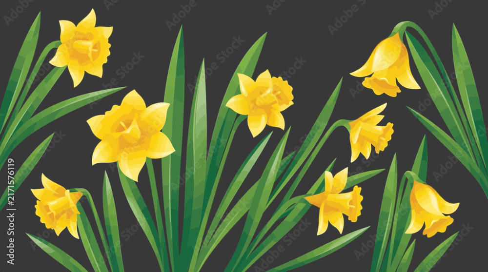 Obraz premium Yellow Daffodil Vector Illustration on Dark Background