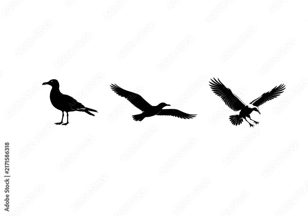 Fototapeta premium Three hummingbird silhouettes showcase dynamic flight against a white background