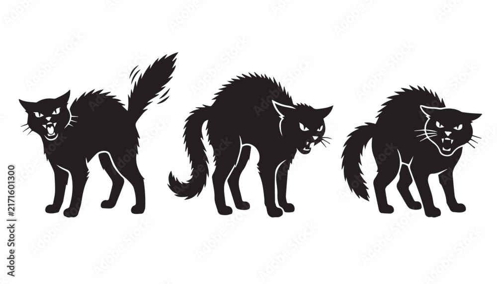 Obraz premium black color silhouette set of three Angry cat vector illustration, solid white background