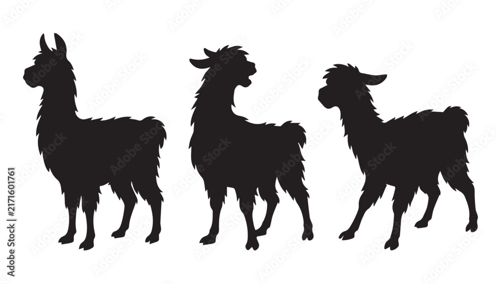 Naklejka premium black color silhouette set of three llama vector illustration, solid white background