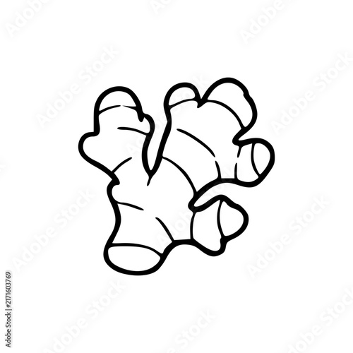 Hand drawn illustration of a ginger root on a white background.