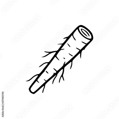 Simple Line Drawing of a Parsnip Root Vegetable.