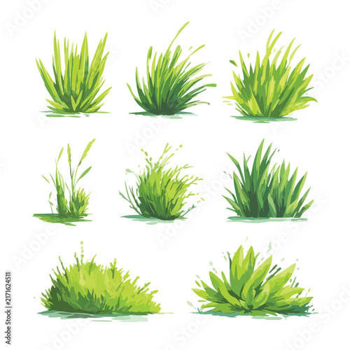 set of green grass