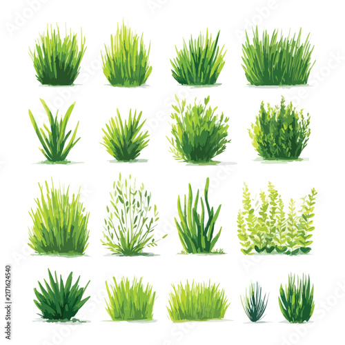 set of green grass