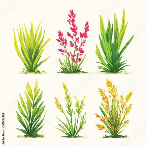 set of green grass