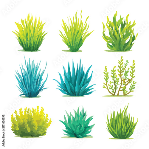 set of green grass
