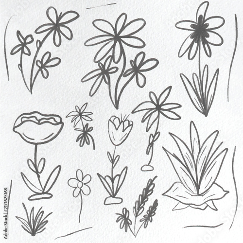 Hand Drawn Botanical Flower Doodle Set Minimalist Floral Sketch Line Art Elements on Paper