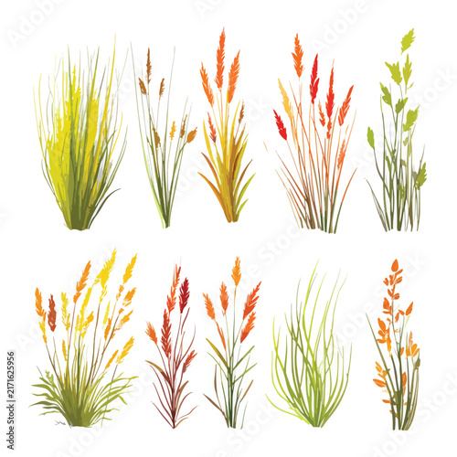 set of green grass