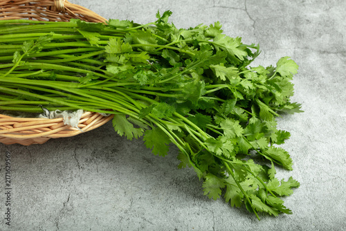Quadro su tela Fresh cilantro bunch in wicker basket on gray stone background
