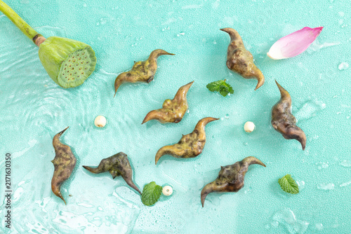 Quadro su tela Fresh water caltrop with lotus pod and petal on wet turquoise background
