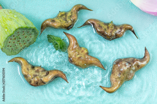 Fotografie Fresh Water Caltrop Nuts on Ice with Lotus Pod and Mint
