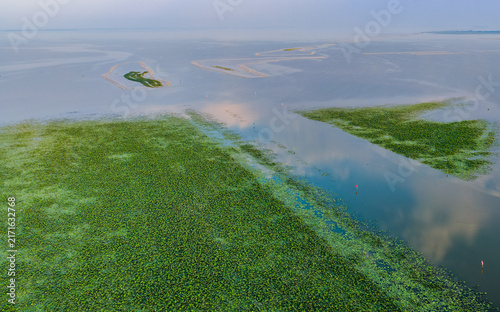 Aerial View of Lotus Wetlands and Open Water at Honghu Lake